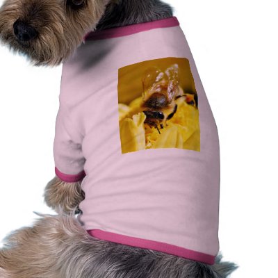 Bees Pollen Insects Wings Macro Bugs Dog Clothes by lifesphere