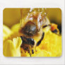 Bees Pollen Insects Wings Macro Bugs Mousepad