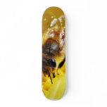 Bees Pollen Insects Wings Macro Bugs skateboards