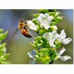 Bees Pollenating Basil Cut Outs