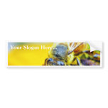 Bees Pollenating Insects Bugs Bumper Sticker