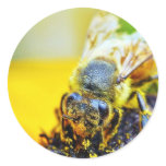 Bees Pollenating Insects Bugs Stickers