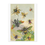 Bees Post Cards