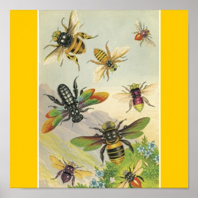 Bees Posters by Insects
