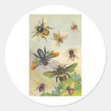 Bees Round Stickers