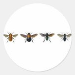 Bees Sticker