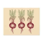 Beet