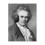 Beethoven Rocks Postcards