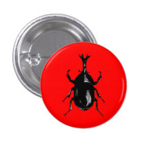 Beetle Beetles Insect Bug Vintage Wood Engraving Pinback Button