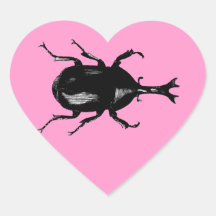 Beetle Beetles Insect Bug Vintage Wood Engraving Heart Sticker