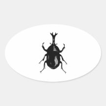 Beetle Beetles Insect Bug Vintage Wood Engraving Oval Stickers