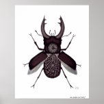 Beetle clock surreal black and white drawing posters