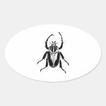 Beetle Insect Bug Vintage Wood Engraving Oval Stickers