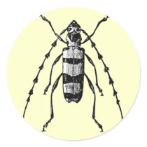 Beetle Round Sticker