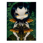 "Beetle Wings" Postcard