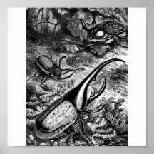 Beetles Posters