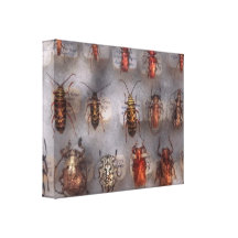 Beetles - The usual suspects Gallery Wrapped Canvas