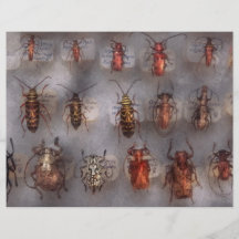 Beetles - The usual suspects Flyers