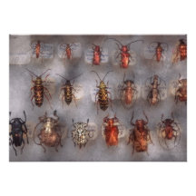 Beetles - The usual suspects Personalized Announcements