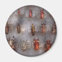 Beetles - The usual suspects Magnet