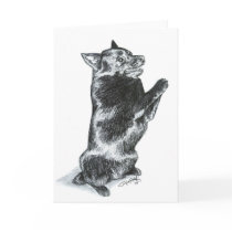 Beg! Cards