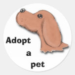 begging, Adopt, a, pet Round Stickers
