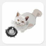 Begging Cat with Empty Food Bowl Sticker