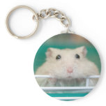 Begging Mint Tea (keychain)