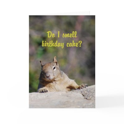 Begging Squirrel Happy Birthday by catherinesherman