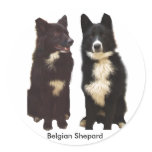 Begian Shepard Stickers