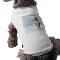Beginner Windsurfer  Dog Shirt