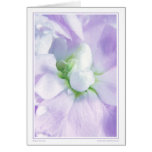 Beginning cards