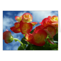 Begonia Flowers Greeting Card