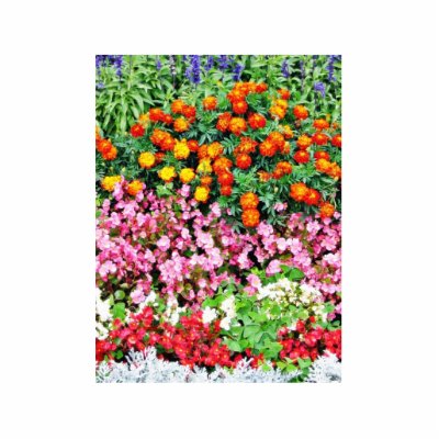 Begonia French Marigold Photo Sculpture by lifesphere