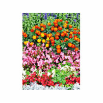 Begonia French Marigold Photo Sculpture