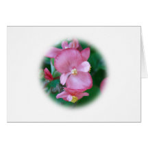 begonia greeting cards