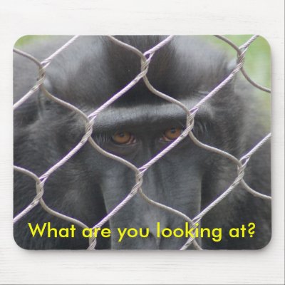 Behind Bars Mouse Pad by deesdigitaldelight