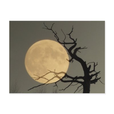 Behind - Full moon behind bare tree collage by Rainmountain