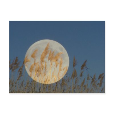 Behind - full moon behind grass collage by Rainmountain