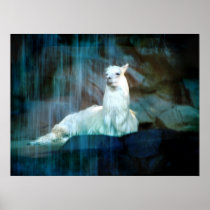 Behind the Falls Print