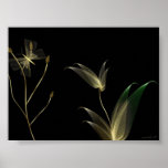 Beige on Black posters