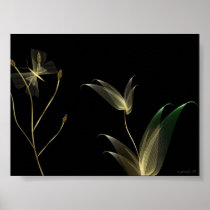 Beige on Black Posters