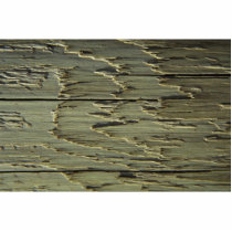 Beige Wood Grain Photo Sculptures