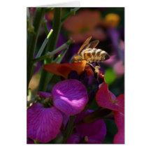 Be'ing a Busy Bee! Greeting Cards