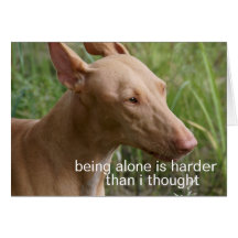 being alone dog cards