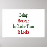 Being Mexican Is Cooler Than It Looks Poster