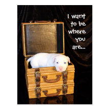 Being With You... Post Card