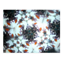 Bejeweled Kaleidescope 12 Postcards
