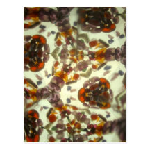 Bejeweled Kaleidescope 25 Post Card