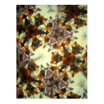 Bejeweled Kaleidescope 46 Postcard